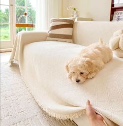 Beige Couch Sofa Cover for 2 3 Cushion Sectional Sofa L-Shape -Washable Chenille Couch Cover for Dogs Pets, Couch Cover Protector Soft Sofa Slipcovers
