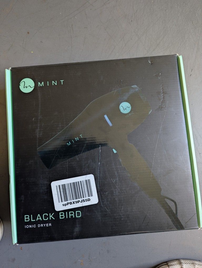 Mint Black Bird 