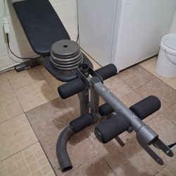 Bench For Legs And Abs