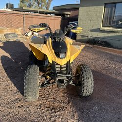 2007 Canam Ds 250