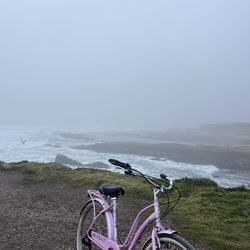Schwinn Pink Bike