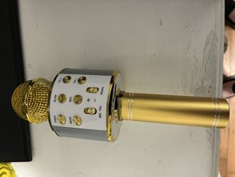 Wireless Microphone HiFi Speaker