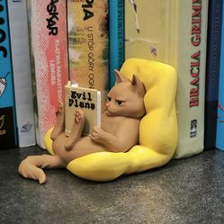 Cat Reading Book
