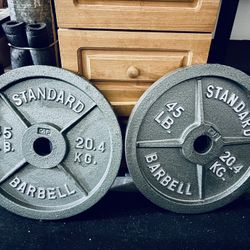 Pair of 45lb Iron Weight Plates (Standard Barbell)