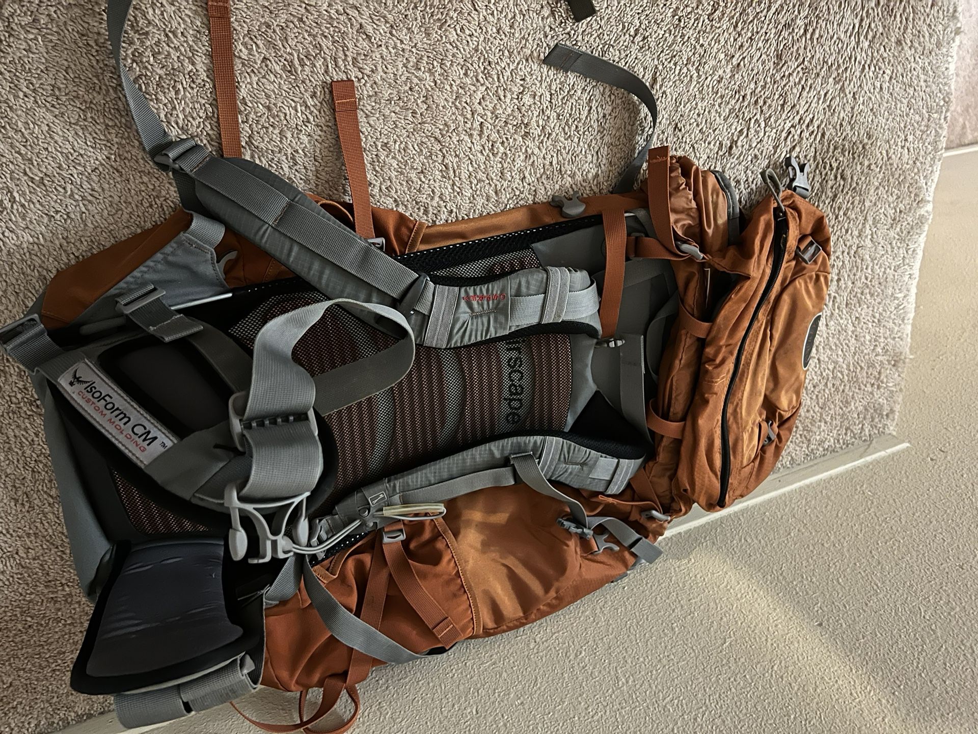 Osprey Backpack 