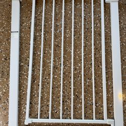Doggie Door
