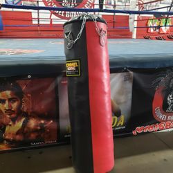 Punching Bag 