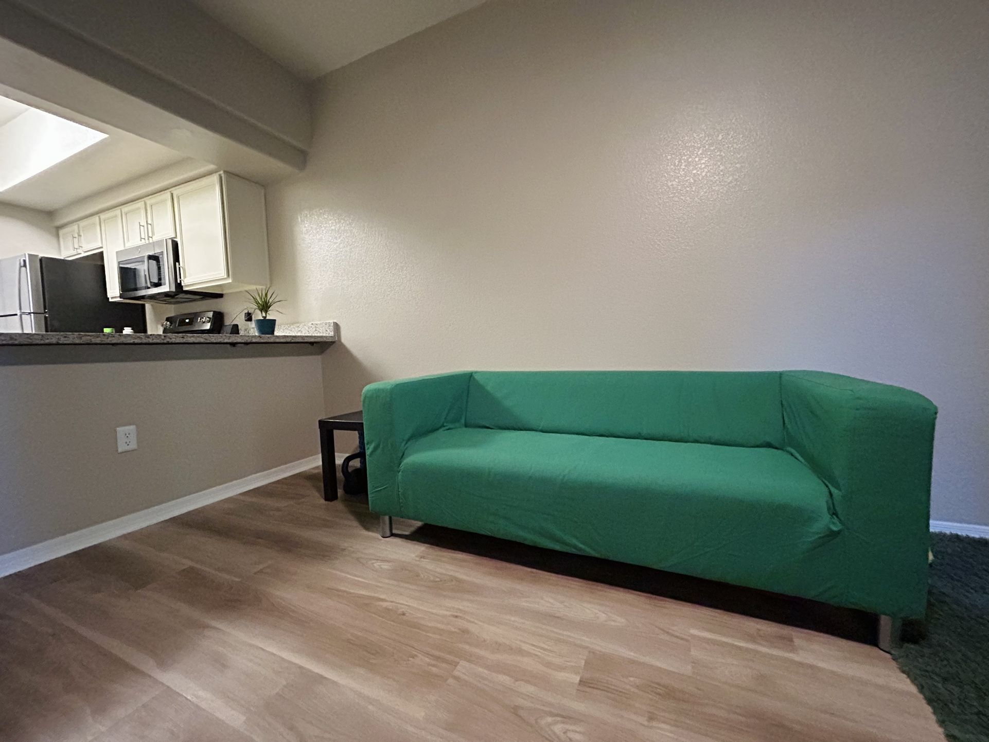 Loveseat Couch
