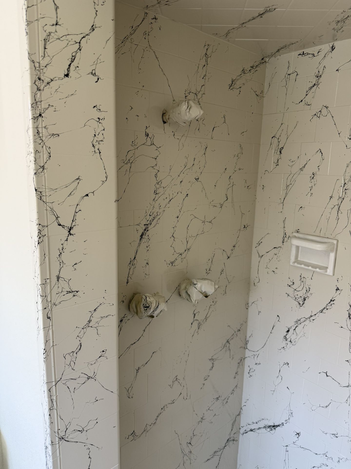Countertop And Bathtub Painting