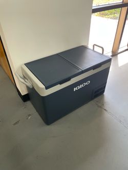 Free Igloo electric cooler