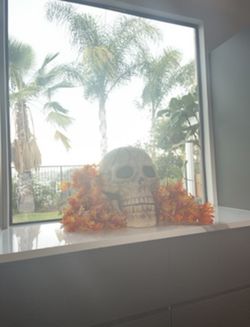 Halloween Decor Ceramic Heavy Skeleton Head