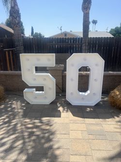 4Ft Numbers W Lights