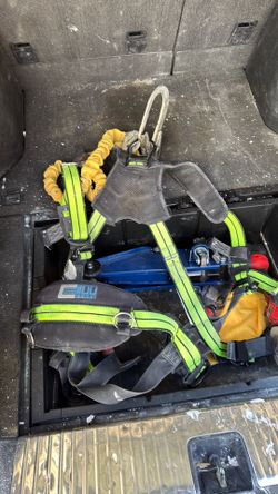 Harness