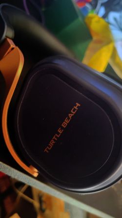 Turtle beaches
