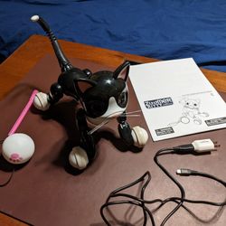 fordrejer Gutter Compulsion Spin Master Zoomer Kitty Tuxedo Interactive Robot Cat COMPLETE for Sale in  Gilbert, AZ - OfferUp