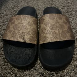 Coach Slides