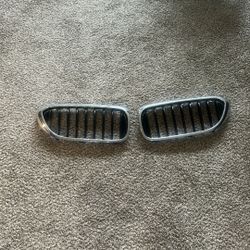 Grill For BMW 530i
