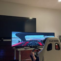 Samsung 49in Monitor