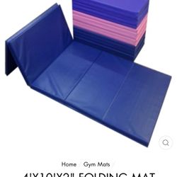 Huge Gymnastics mat , Martial Arts Mat, Yoga Mat For Home Gym.