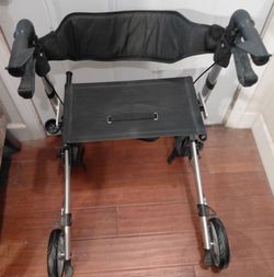 Walker transport chair
