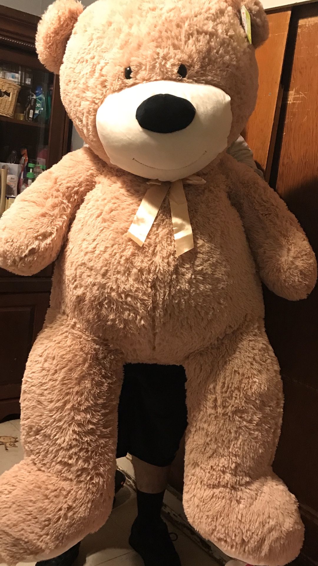 Big Teddy Bear