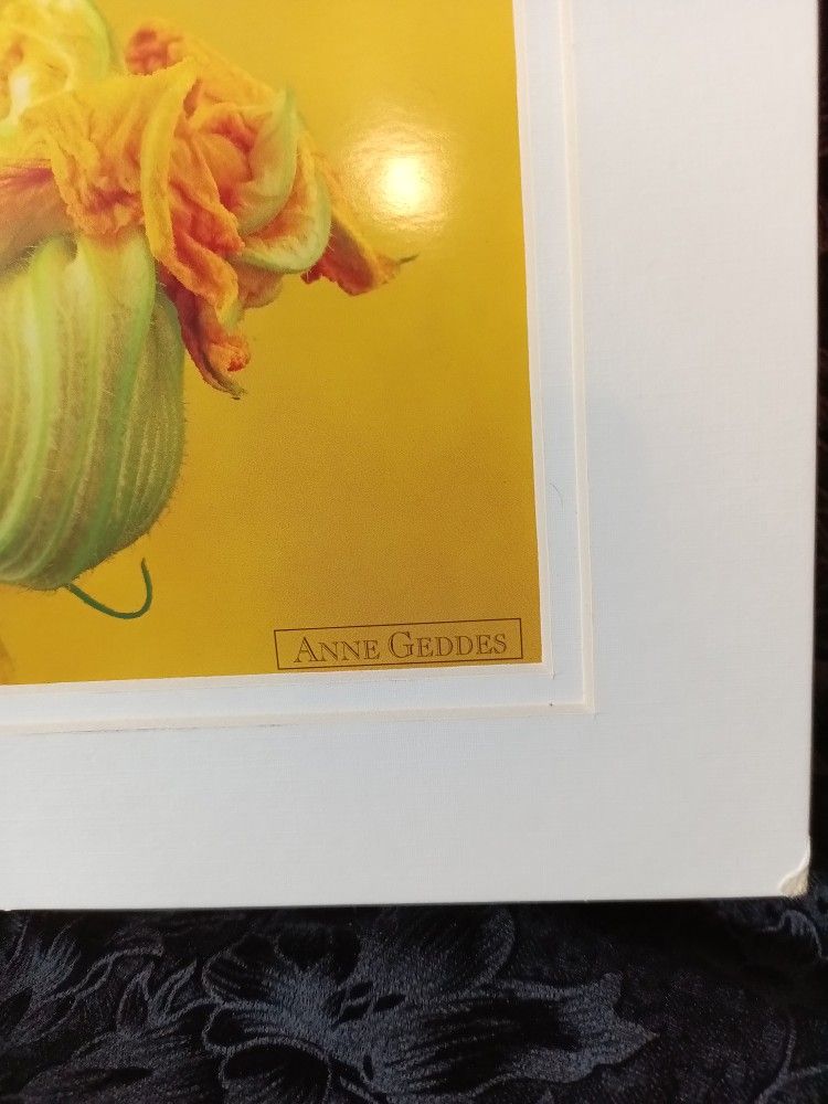 Ann Geddes 2 pc
