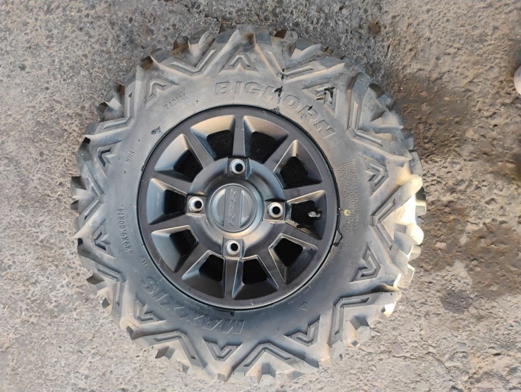 Polaris RZR Rim