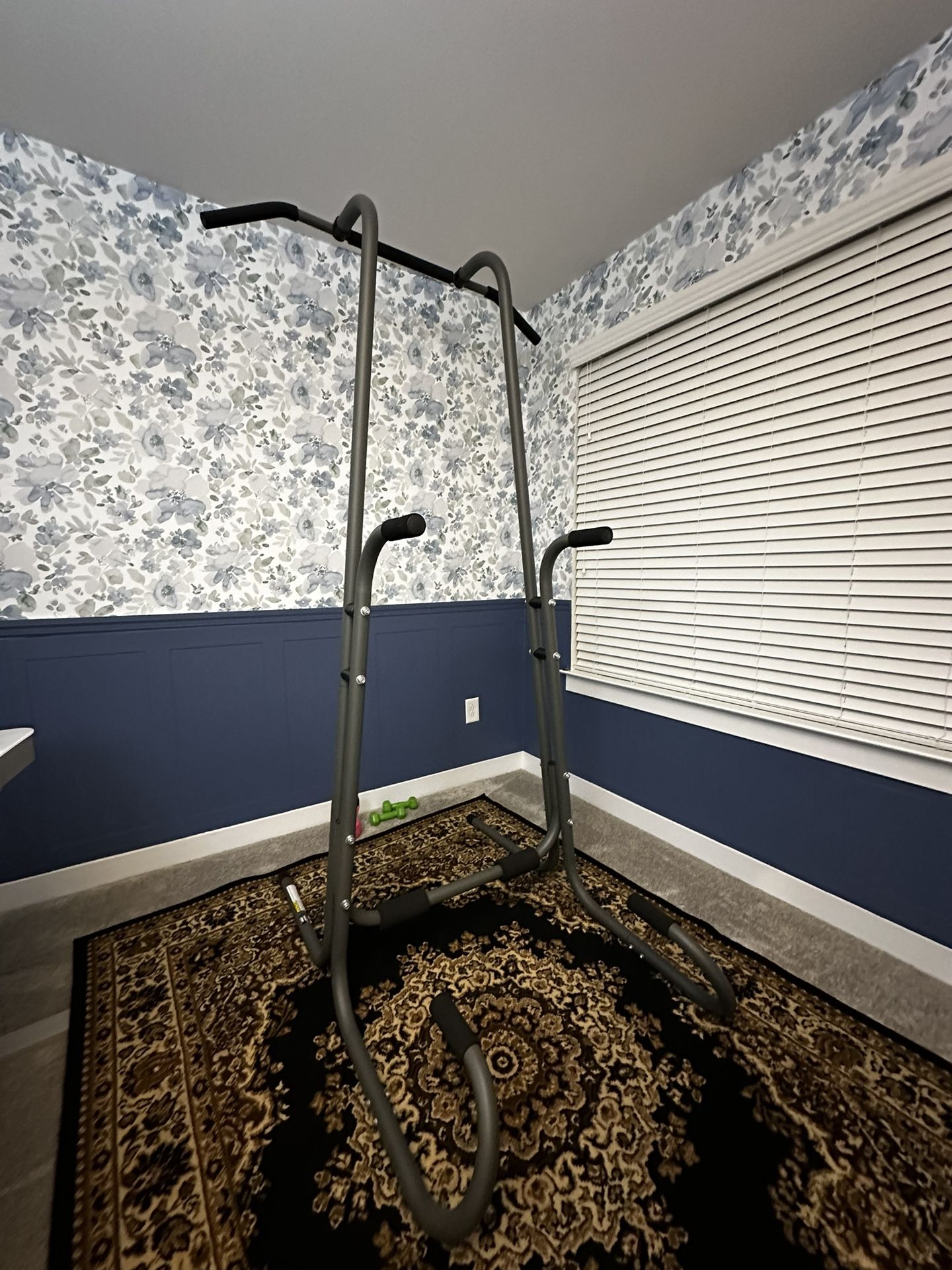 Multi purpose pull up equipment