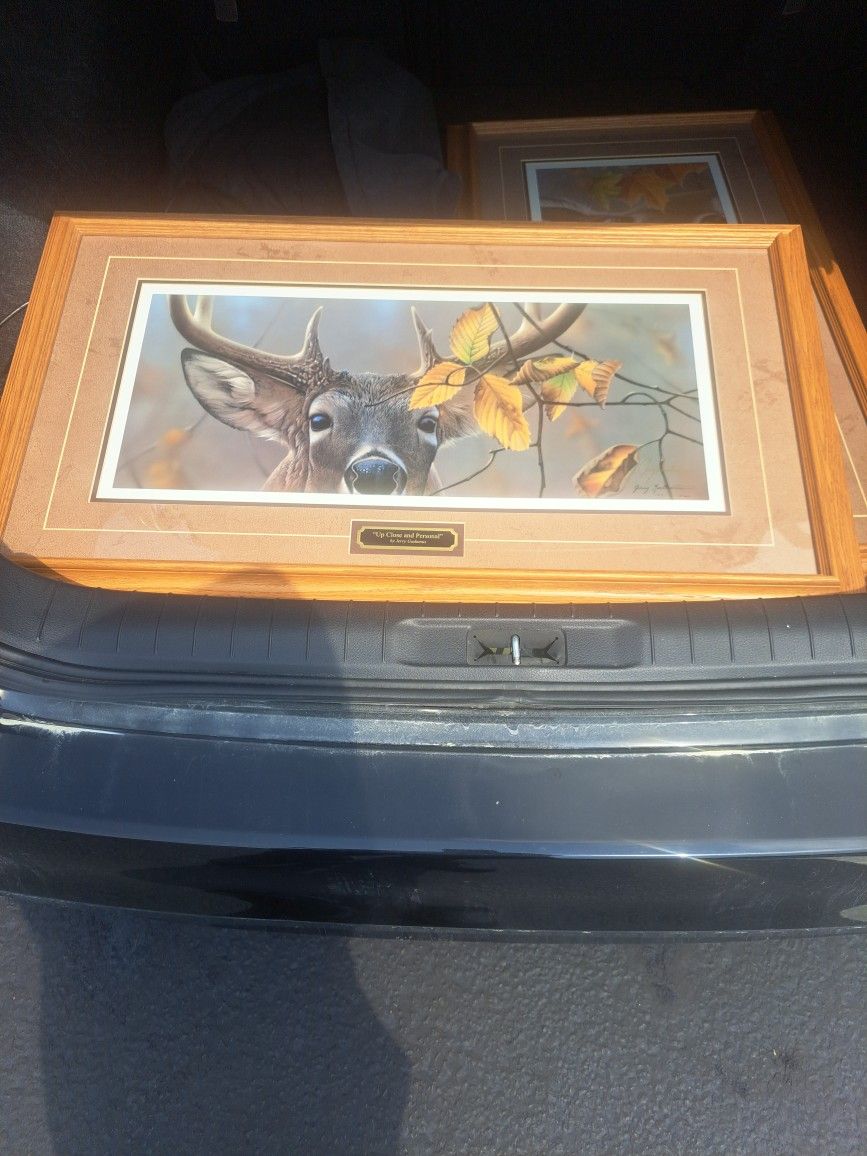 Deer Photo Signed And Certificate Of Authentincey.