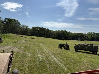 1 Cut 2025 Timothy Orchard Mix