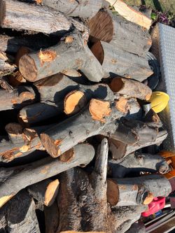 Free firewood