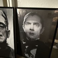 2 posters with frames $70 FIRM