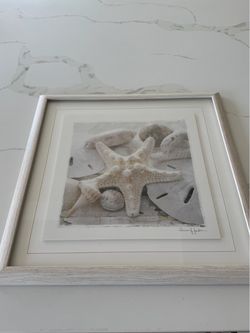 “Sanibel”, Framed Photograph Print / Coastal Still Life Wall Art.