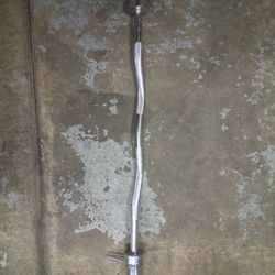 Olympic Curl Bar