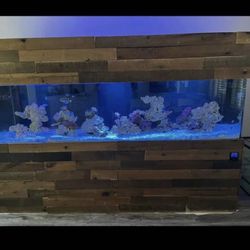 240 Gallon Fish Tank 