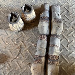 Full  Set Of Legacy Sport Boots