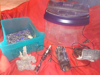 Fish tank and supplies