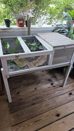 Reptile cage