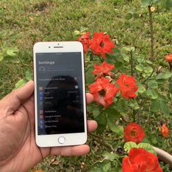 iPhone 7 Plus 128GB (Unlocked) Rose Gold