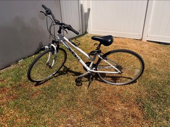Adult road bikes