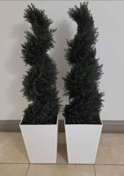 PAIR of 3ft Faux Cedar Spirals in 16in White Resin (Rattan) Planters (2 for $110) @ Lasting Creations