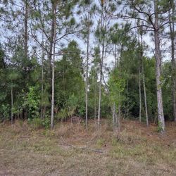 LAND FOR SALE IN LEHIGH ACRES 