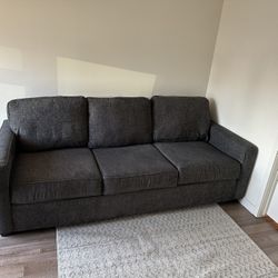 Full Size Couch - Echo Park