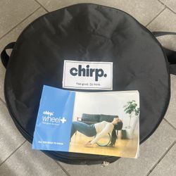 Back/ Neck Posture Correction