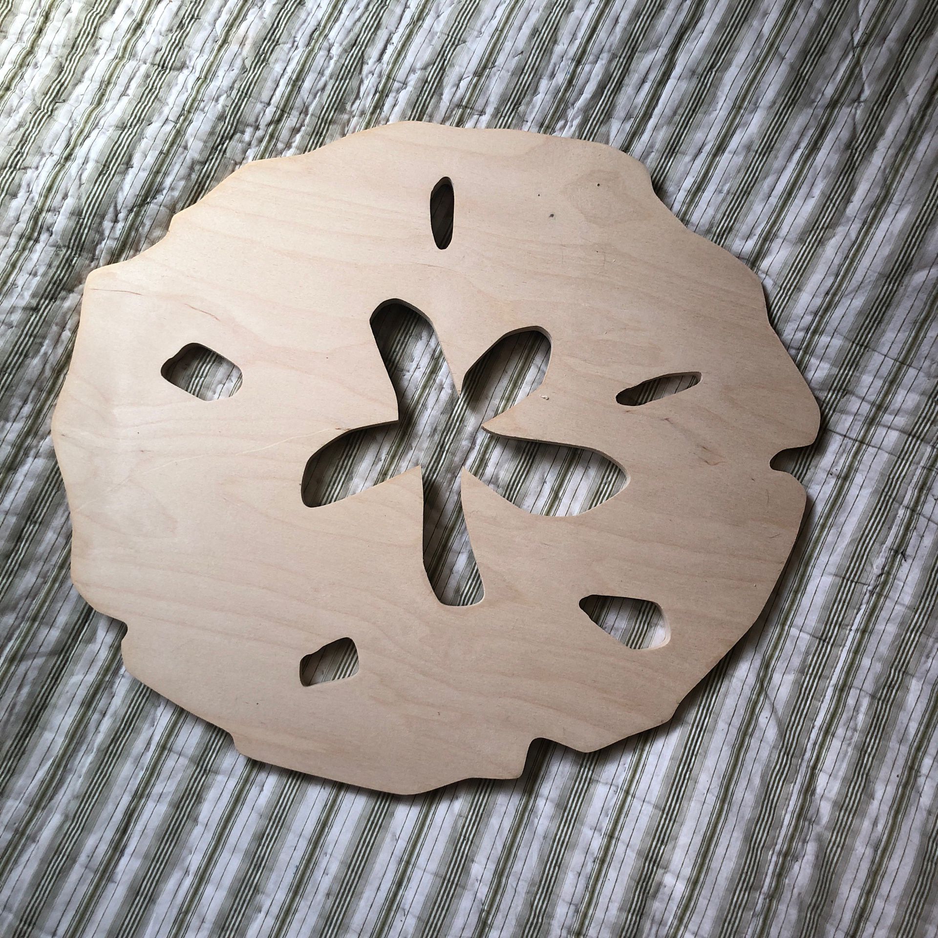 XL Wooden Sand Dollar Cutout Blank