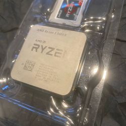AMD Ryzen 5 5600x CPU