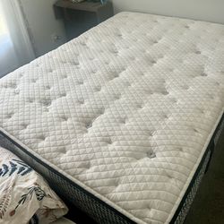 Rarely Used: Queen Mattress 