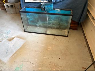 75 gallon fish tank with filter