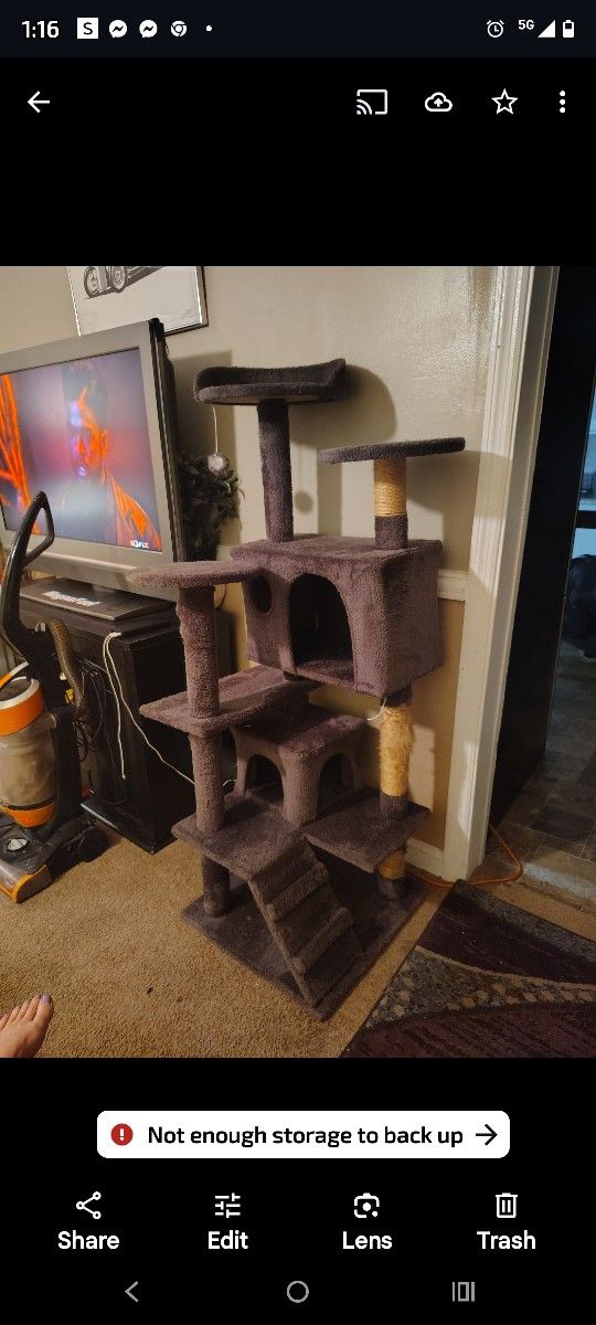 5ft Tall Barely Used Cat Tree