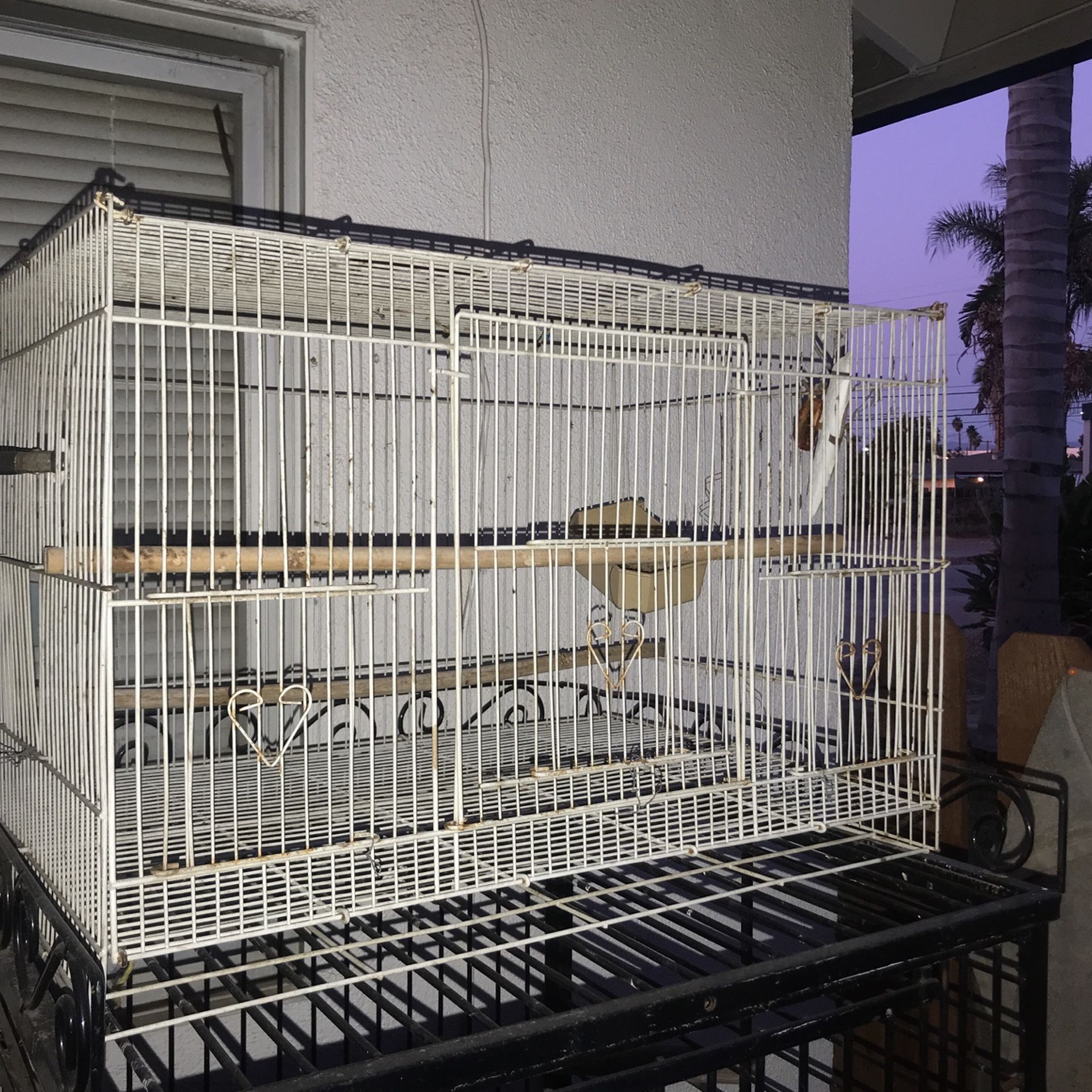 White Bird Or Parakeet Cage